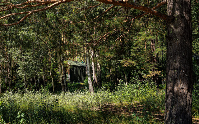 Отель Натура Эко