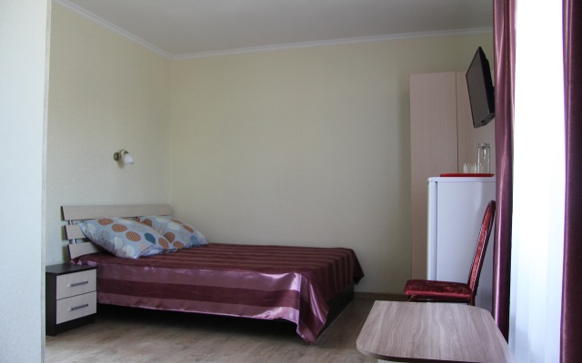 Lyudmila Na Turgeneva Guest House