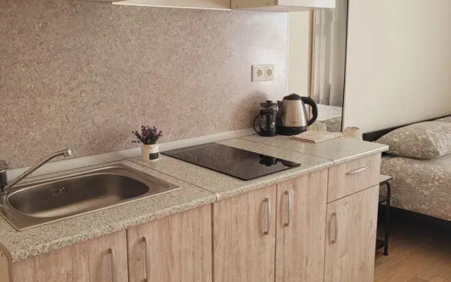 Квартира - студия в иcтoричeскoм цeнтре Санкт-Пeтеpбургa (3)