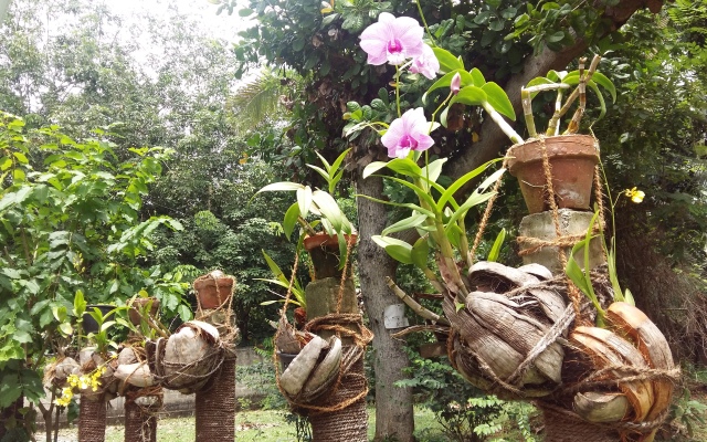 Wasaba Jayasekera Guest House