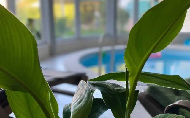 Nexuc Club Guest House