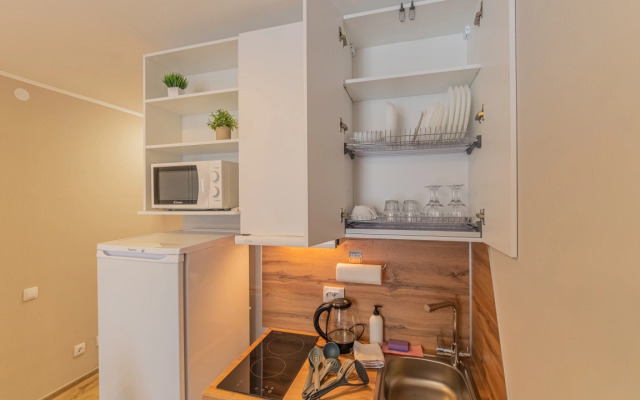 Apartment Standart SalutApart 8
