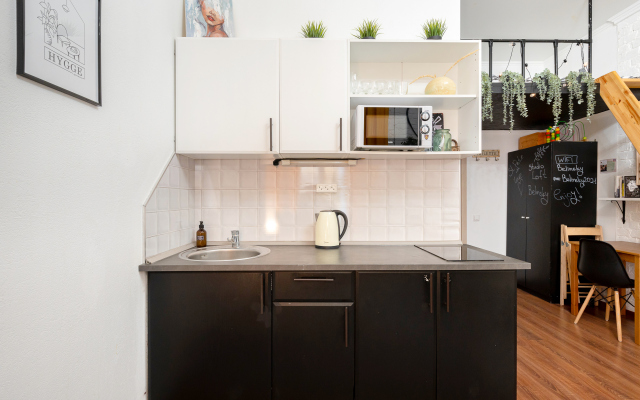 Апартаменты Studio Loft Belinsky в центре города