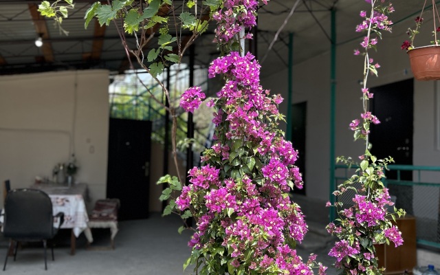 Shapsugskaya 6A Guest House