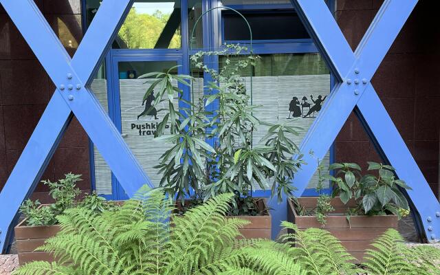 Pushkin Travel Apartments