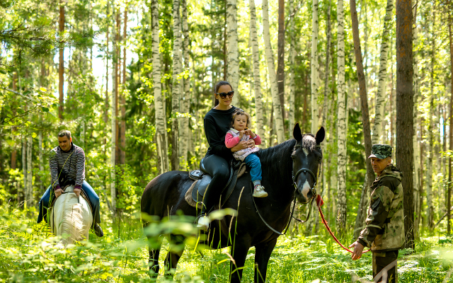 Отель Талес