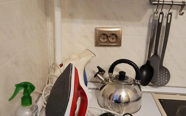 Квартира Студия с мини-кухней и собственным санузлом