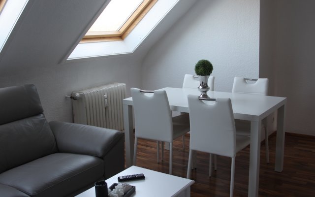 W06 Wohnung Mit Rheinblick Apartments
