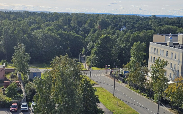 Квартира просторная двухкомнатная