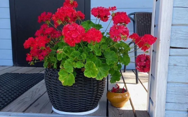 Частный дом на Леселидзе 60 (2)