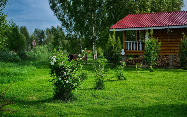 Гостевой дом Дикий Гусь
