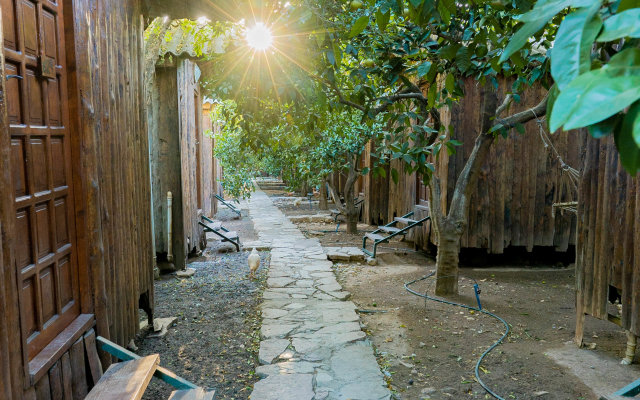 Отель Turkmen Tree Houses Hotel