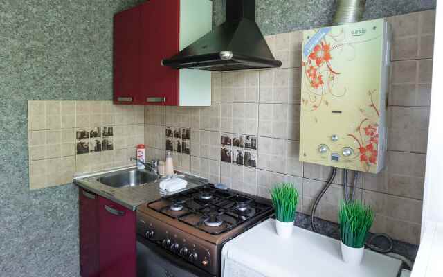 SmolSutki Novo-Chernushenskiy pereulok 1/2 (2komn) Flat