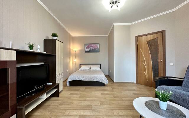 Квартира Однокомнатная Революционная 7