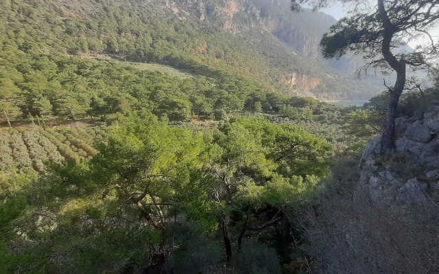 Mürteza Çam Private house