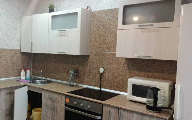 1-Komnatnaya V Tsentralnom Rayone Flat