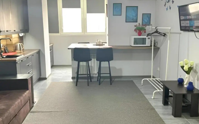 Uyutnaya Prostornaya Yevrodvushka S Vidom Na Goru Flat