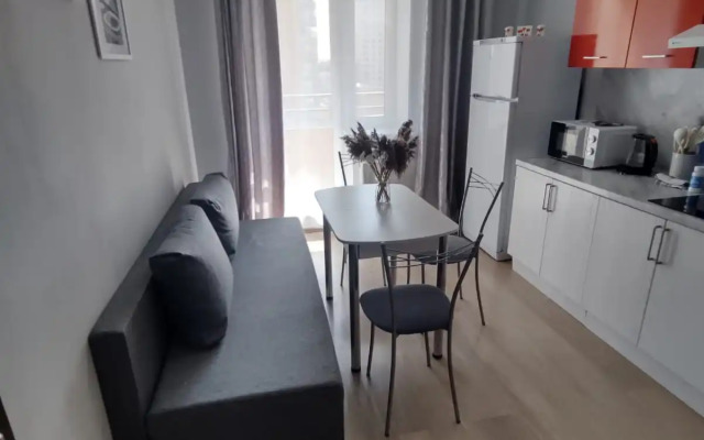 V ZHK Akadem park Flat