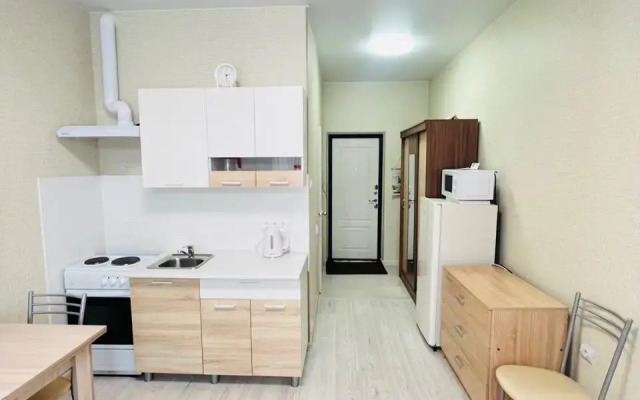 Trekhmestnaya Studiya S Balkonom Apartments