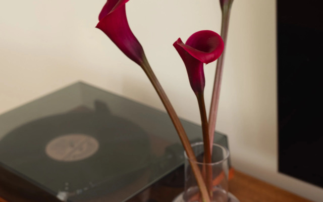 Апартаменты с тремя спальнями на Петроградской стороне