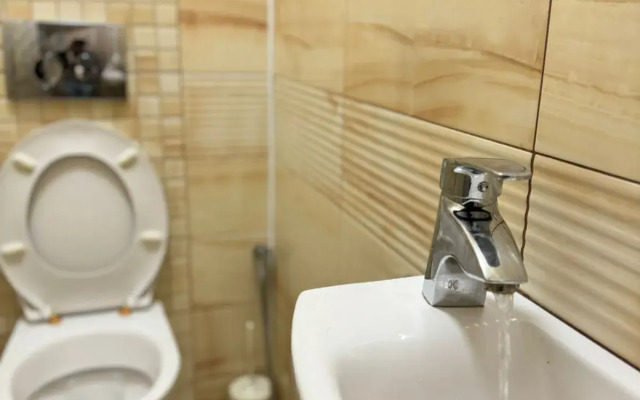 Shikarnye Bolshye I Prostornye V Novom Tsentre Uralska Apartments