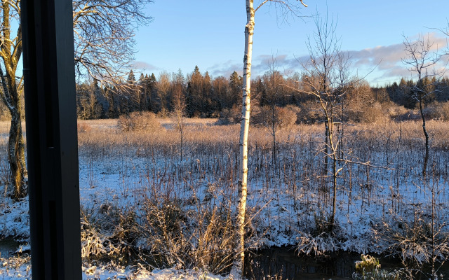 Гостевой дом BrusnikaДом