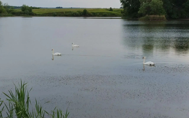 Частный дом Сосновка