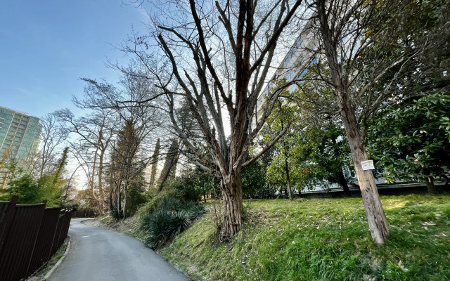 Апартаменты Светлана