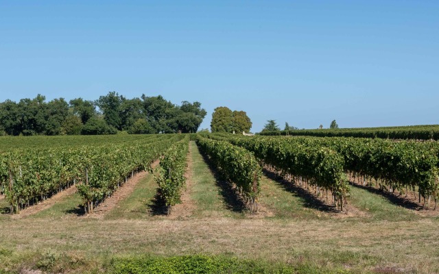 Гостевой Дом Ilot-Vignes