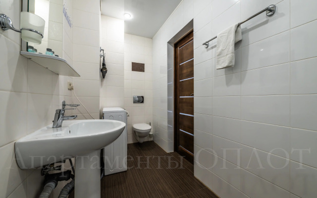 Oplot - Vidovye s odnoj spal'nej i balkonom 4 Apartments