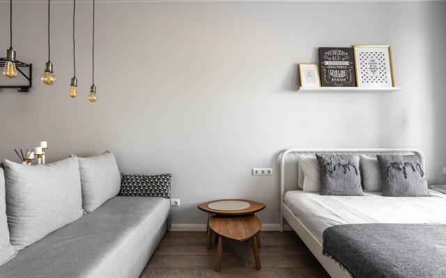 Apartamenty Skylight U Moskovskikh Vorot (2)