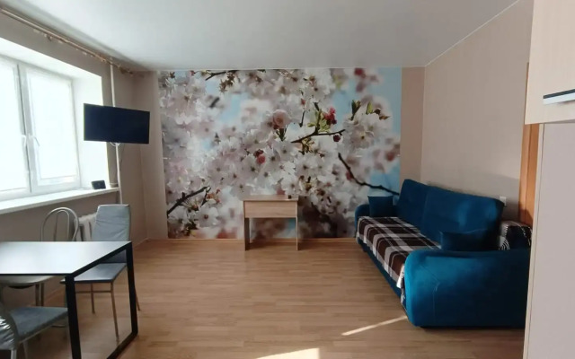 Bolshaya 1 Ostrov Patrusheva Flat