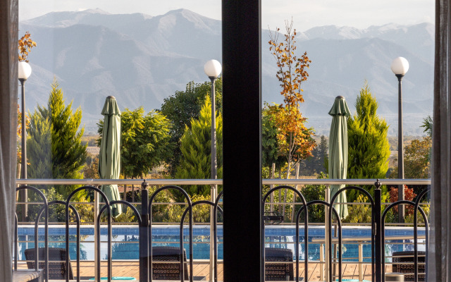 Отель Panorama Kakheti Resort