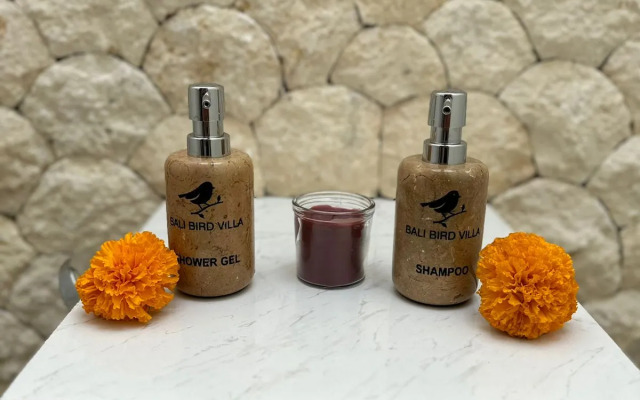 Вилла Bali Bird