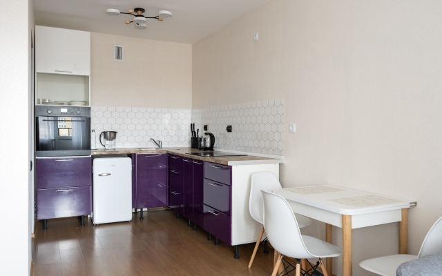 1912 V Devyatkino Apartment
