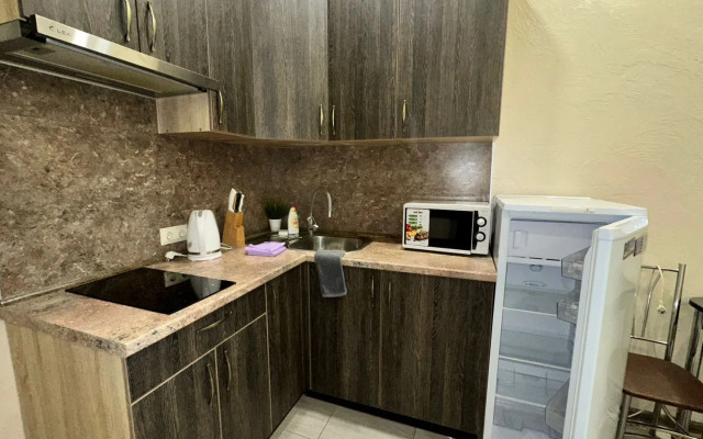Uyutnaya Studiya V Tsentre Flat