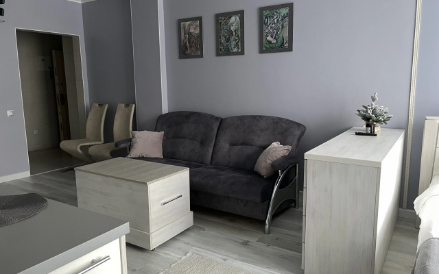 Квартира Уютная Студия у Королевских Ворот