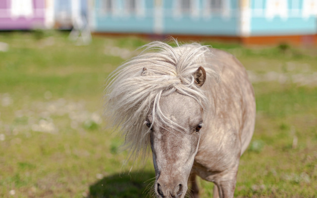 Частный дом Хвалынская Усадьба