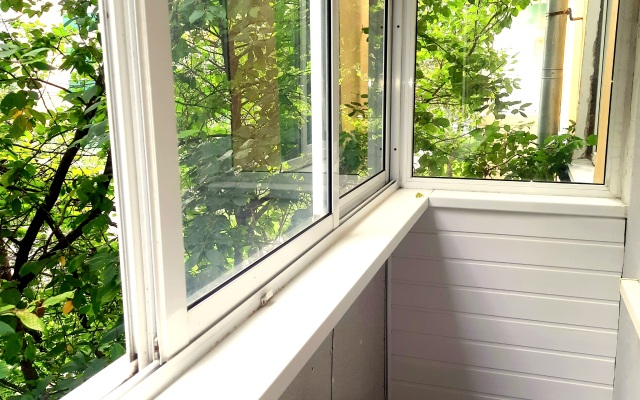 Gostepriimny Smolensk Flat