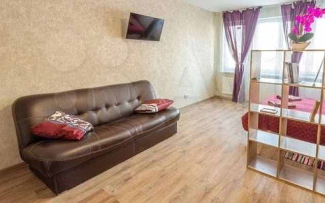 Квартира Уютная Студия на Мечтателях