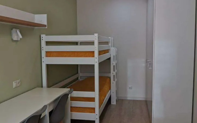 Dvukhkomnatnaya Na Lensoveta 9/24 Flat