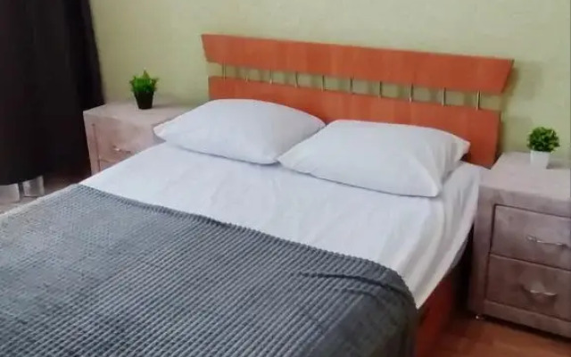 Апартаменты 2-комнатные на Красноармейском пр-е