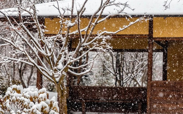 Апартаменты у Парка Галицкого