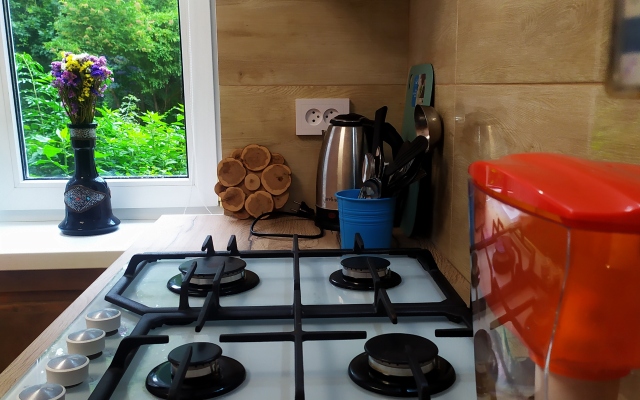 Centr Repina Street Flat