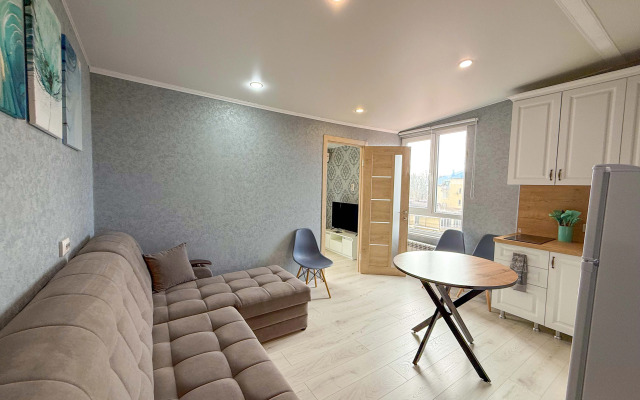 Апартаменты Евродвушка Плеханова д.53/16 (№2)