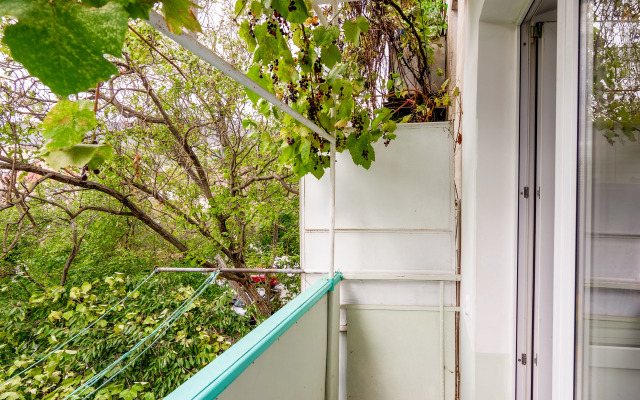 Квартира на Островского 31