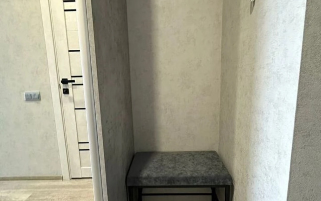 Studiya Na Ulitse Michurina 58k2 Flat