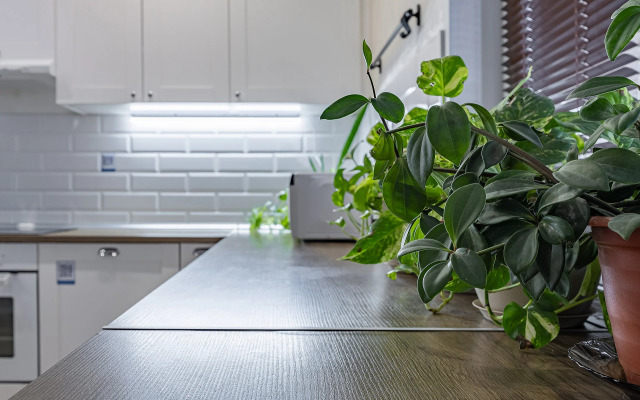 Апартаменты Gray Studio