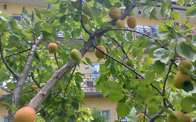 Гостевой дом Добрый Бобр
