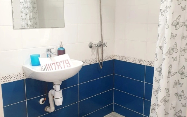 Апартаменты Paradnaya №7 2